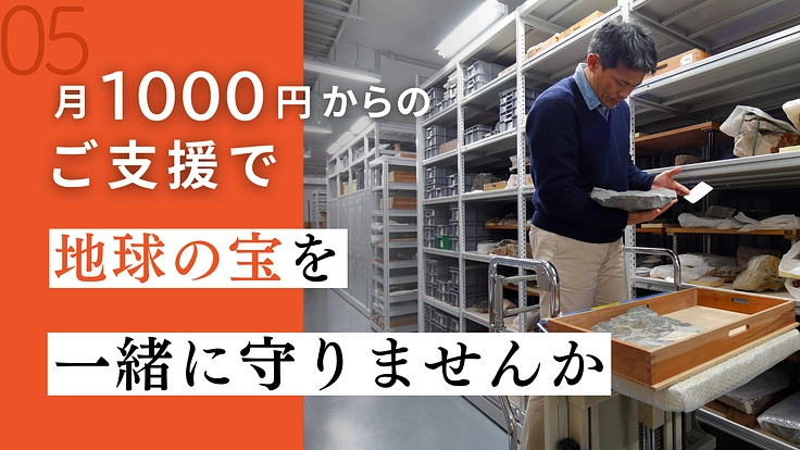 国立科学博物館マンスリーサポーター｜地球の宝を守りつづける 6枚目
