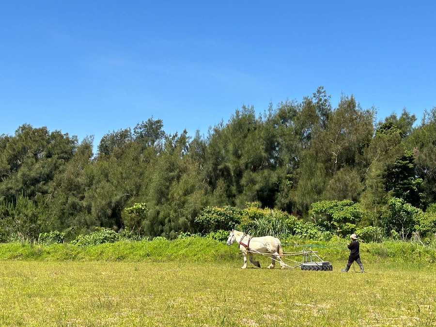 ゴールデンウィーク