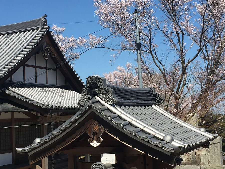 【ご報告】工事が開始され、旧庫裏の解体作業が完了いたしました 。