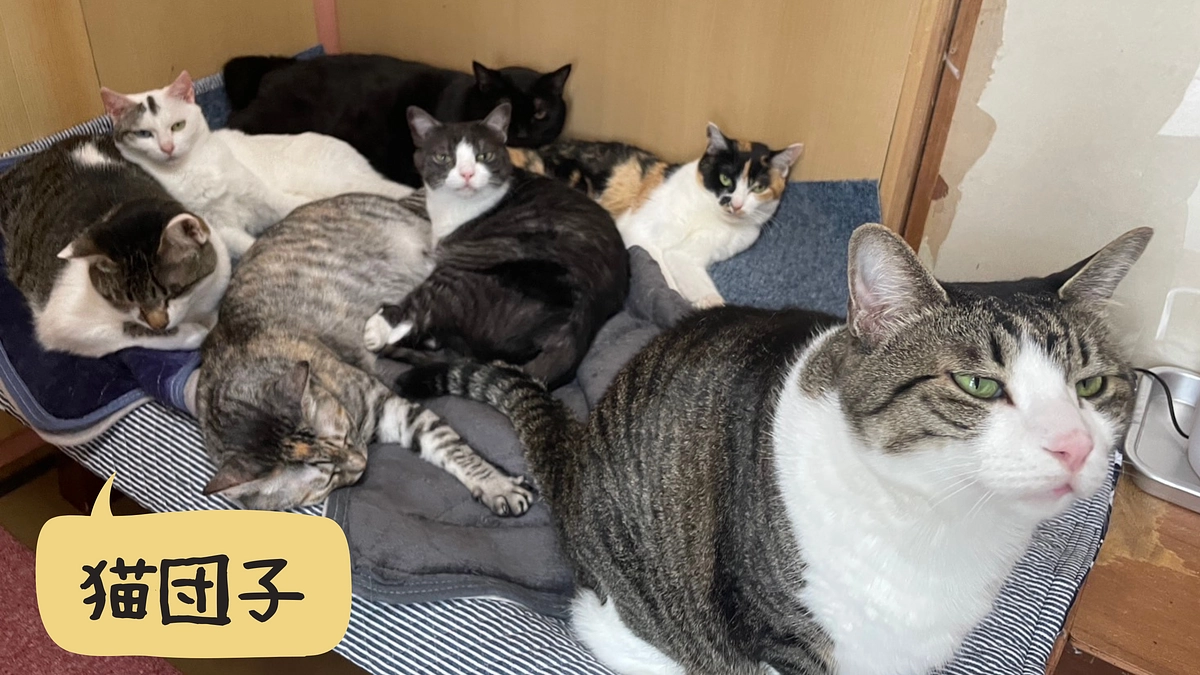 新玉旅館の様子…