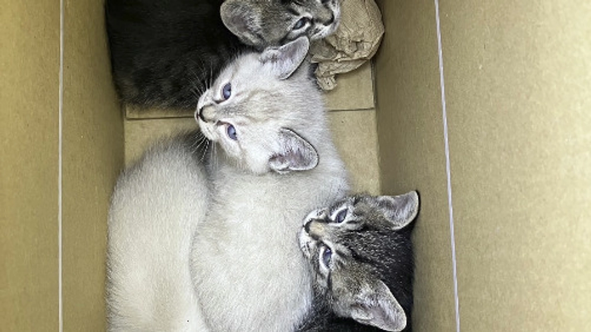 令和7年5月の中間報告！