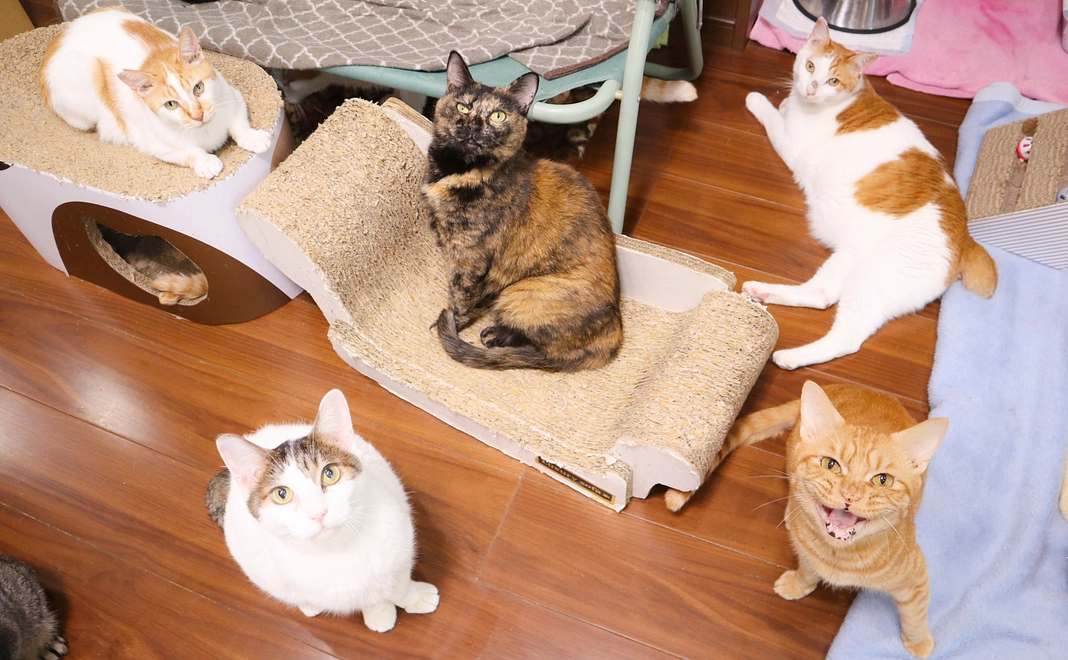 毎月10万円コース