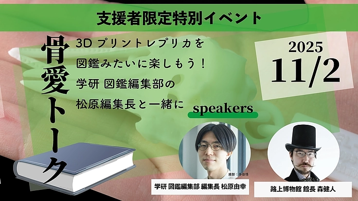 見るだけの骨から、触れる骨へ｜手のひらサイズの哺乳類頭骨レプリカ 7枚目