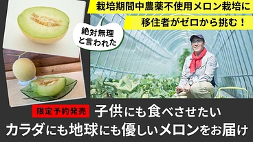 栽培期間中農薬不使用メロン栽培へ挑戦。身体にも地球にも優しいメロン のトップ画像