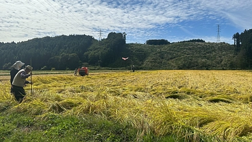 【農産物の売り方を変えたい】食料自給率を上げたい のトップ画像