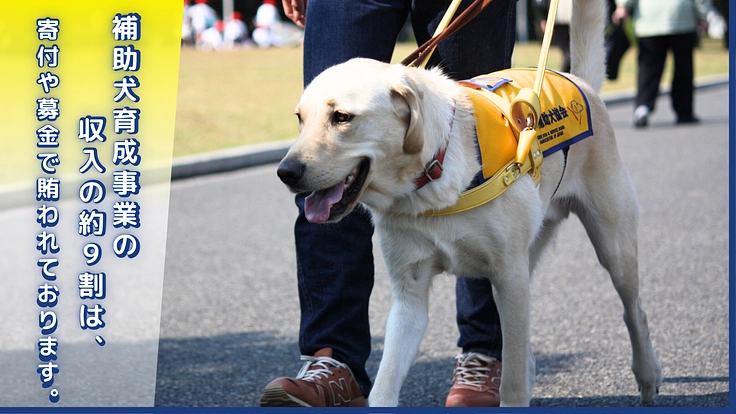 ほじょ犬育成応援プロジェクト2025｜一人でも多く寄り添えるように 2枚目