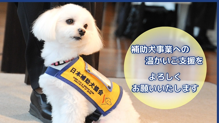 ほじょ犬育成応援プロジェクト2025｜一人でも多く寄り添えるように 7枚目