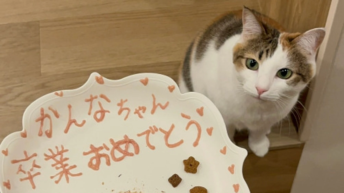 かんなちゃん本格譲渡決定と政宗くんトライアル出発！