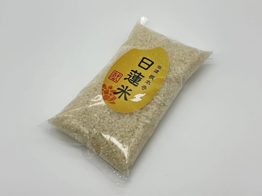 【日蓮米】の田植えを行いました