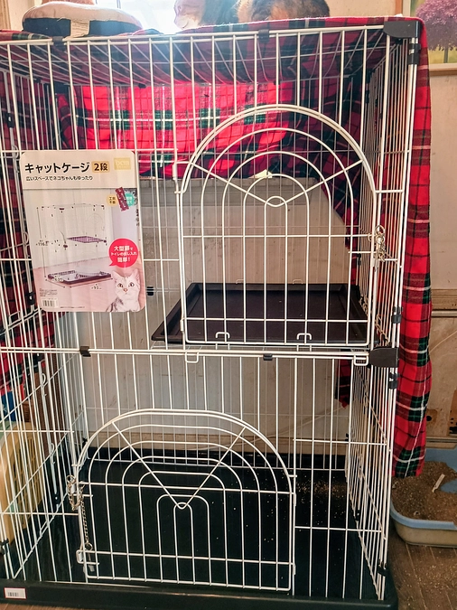 ケージ購入
