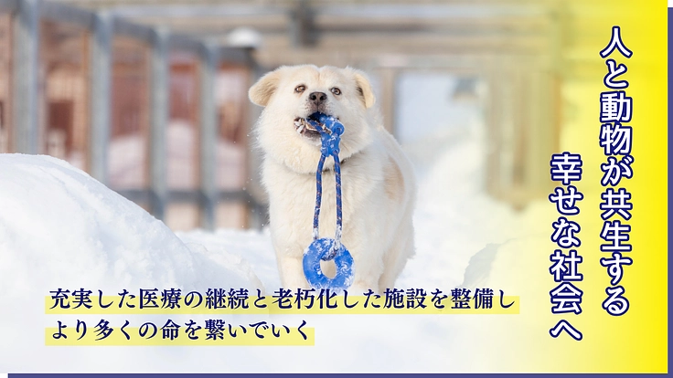 医療の充実と飼育環境を整備し、より多くの犬猫の命を繋ぎたい
