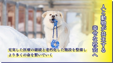 医療の充実と飼育環境を整備し、より多くの犬猫の命を繋ぎたい のトップ画像