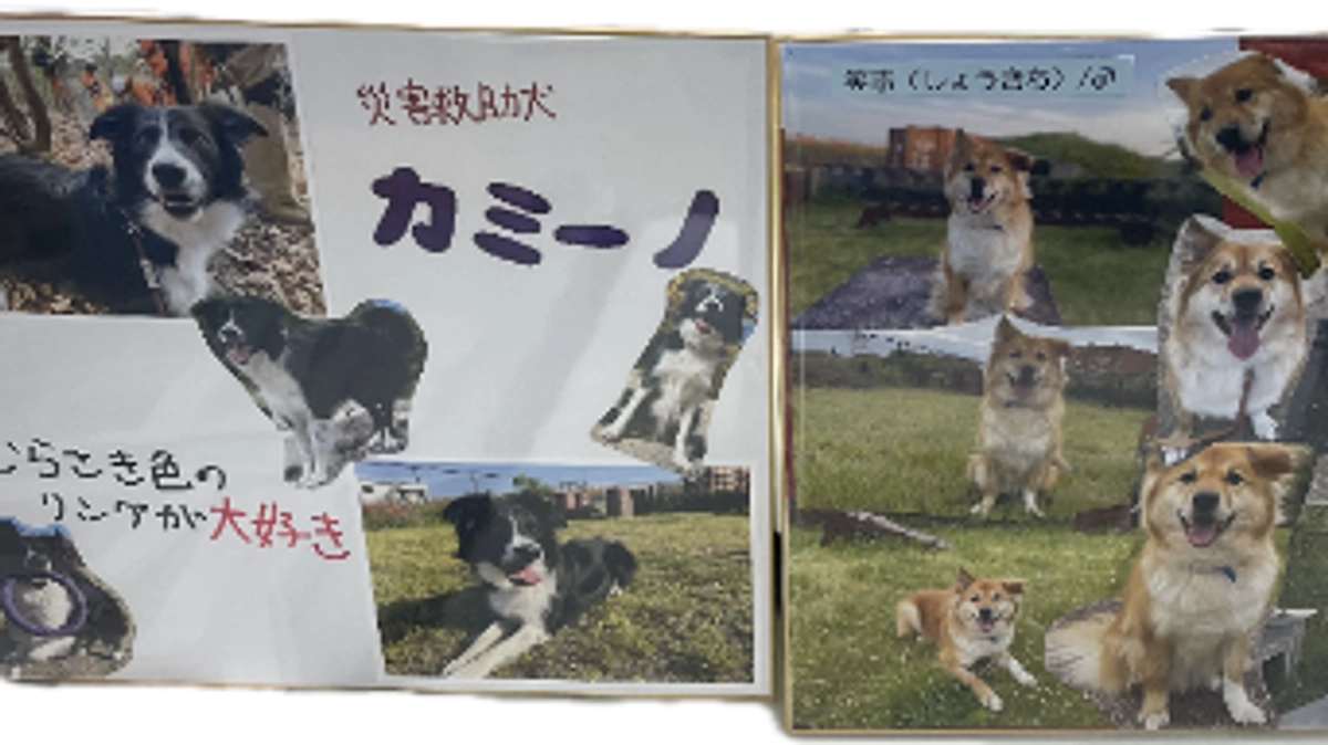 トライやるウィーク