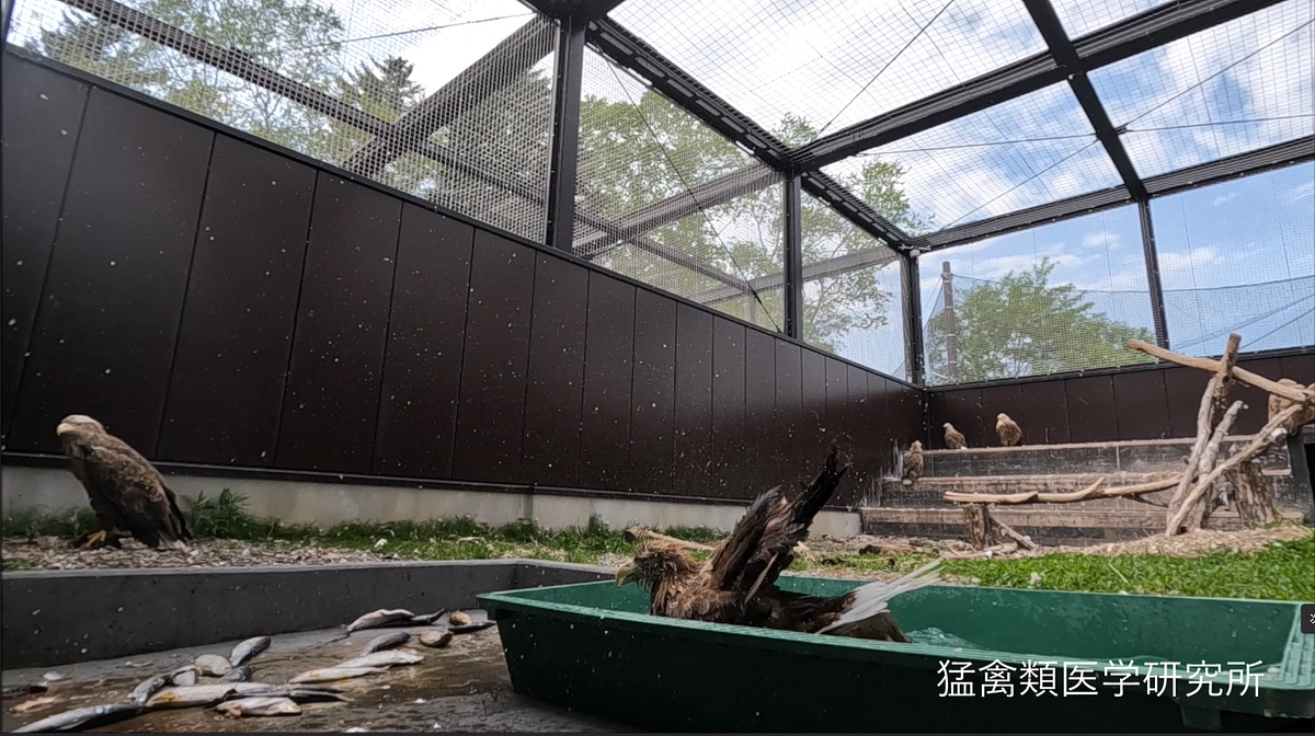 代わりばんこに思う存分水浴び！