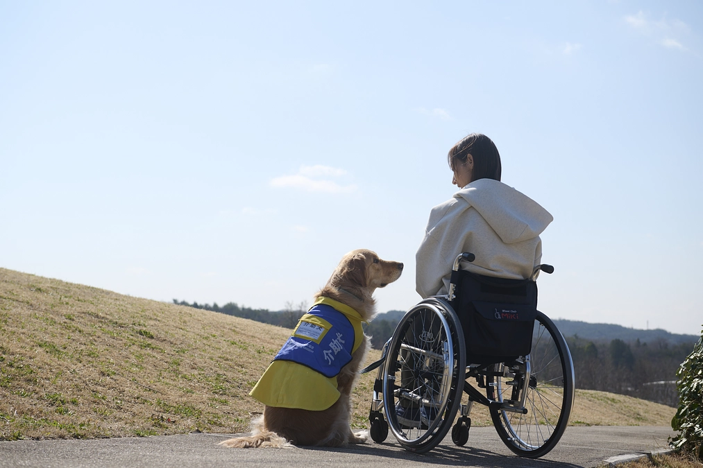 6月22日（日）介助犬相談会（オンライン）を開催します！