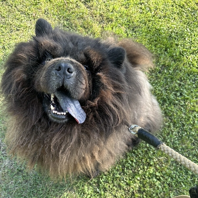 メディア出演のお知らせ