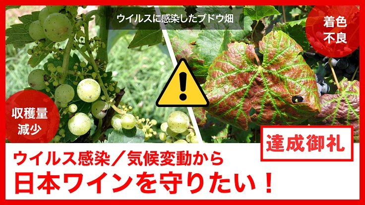 日本ワインの未来を救え！世界基準の「ワイン苗木」原木園を設立へ