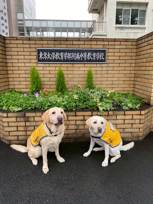 教育ファシリティドッグ： 東京大学教育学部附属中等教育学校