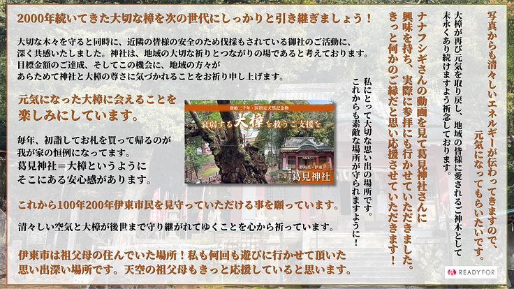 伊東・葛見神社|樹齢二千年、衰弱する大樟を救うためにご支援を 2枚目