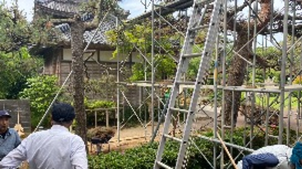 【達成率80%を超えました】皆様ご支援ありがとうございます！