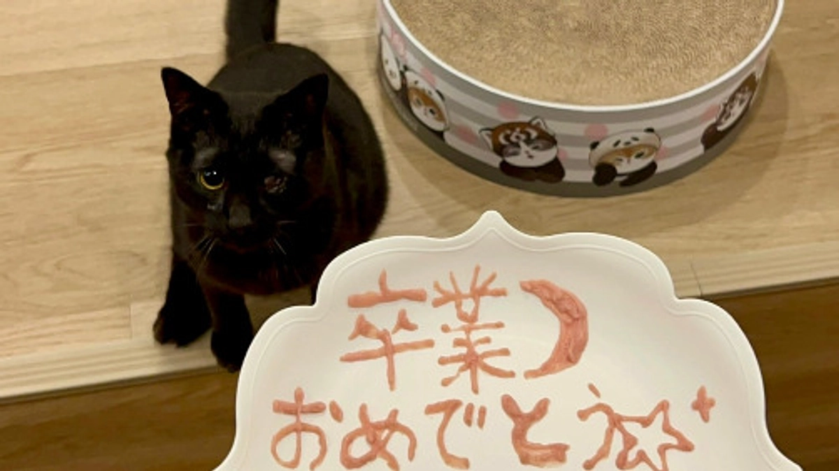 🌙政宗くん正式譲渡決定✨