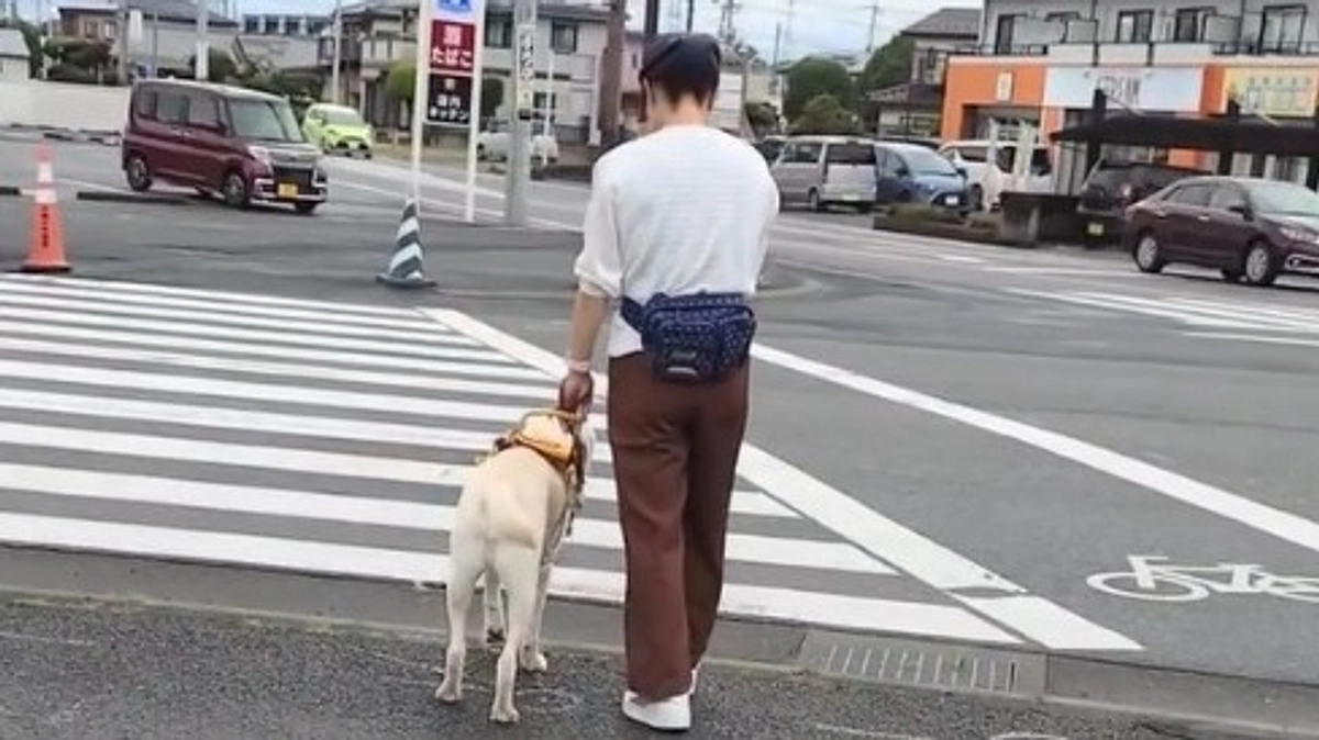 盲導犬ユーザーのフォローアップ