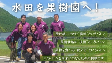 水田を果樹園へ！誰でも気軽においしい果実を食べられる未来を作りたい のトップ画像