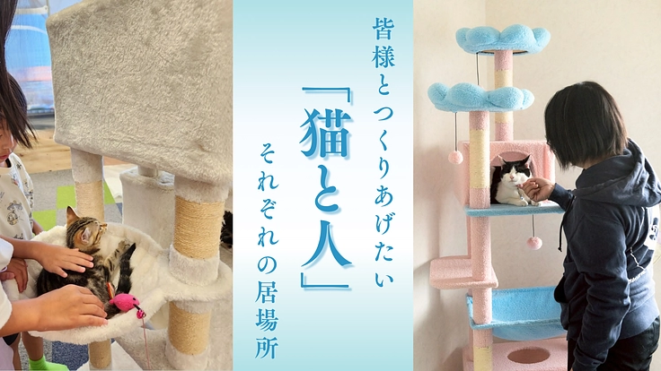 保護猫活動から見えた社会問題、人にも猫にも寄り添える場所を作りたい