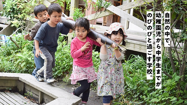 30年続く「どんぐり自然学校・幼児園」を、次の世代につなぎたい！ 3枚目