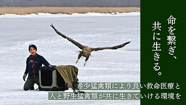 命を繋ぎ、共に生きる。希少猛禽類により良い救命医療と共生環境を！ のトップ画像