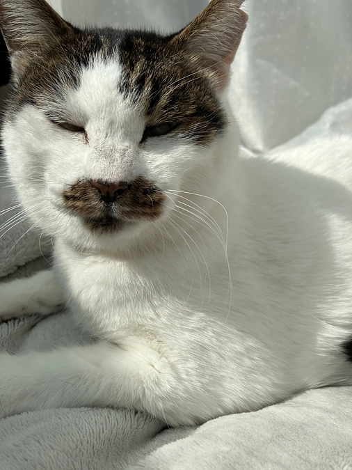 クラファン目標達成