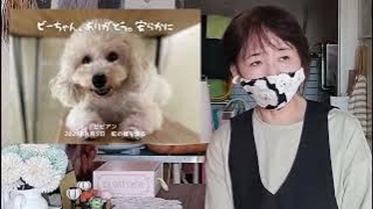 2024年皆さまへのお礼と収支のご報告、ケンの家の近況をお伝えします！