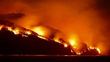 岩手大船渡山林火災ボランティア活動 のトップ画像