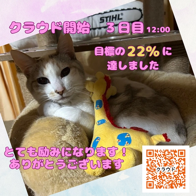 感謝！無事開始することができました！