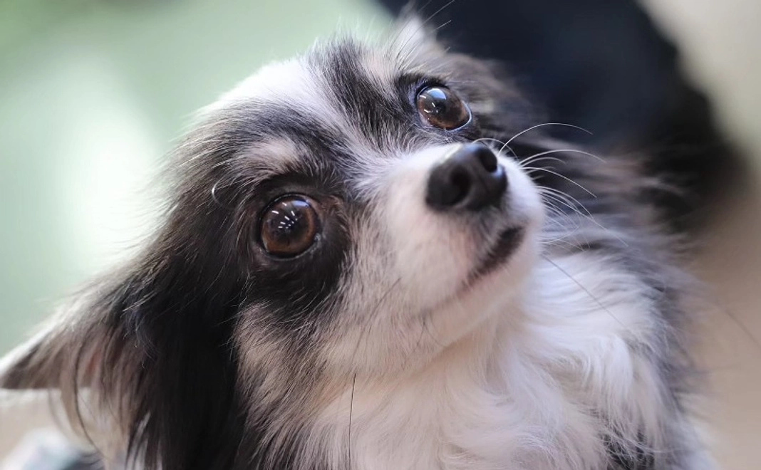 SORA全力応援コース｜3,000円