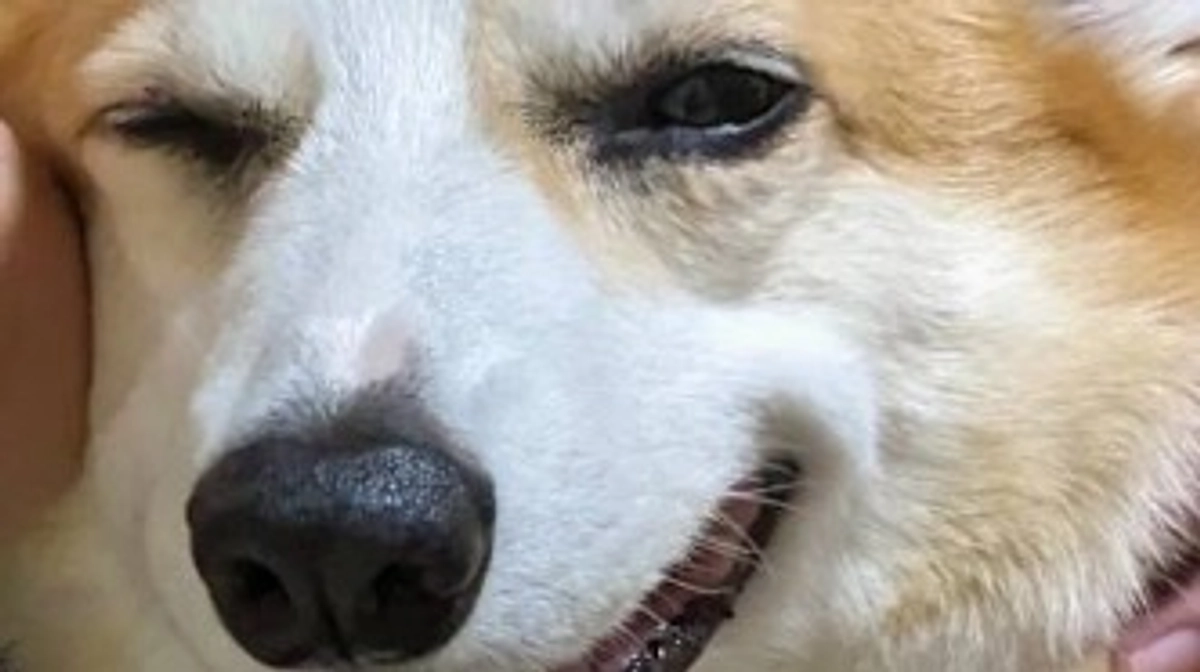 たくさんの応援、ご支援ありがとうございました🙇