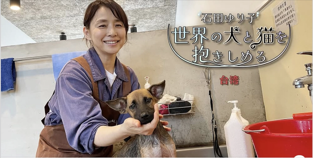 石田ゆり子の世界の犬と猫を抱きしめる　台湾　放送のお知らせ