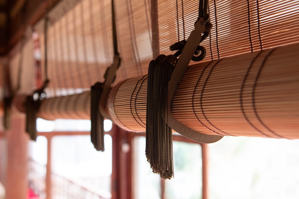 支援率50%を超えました！Thank you for your support!