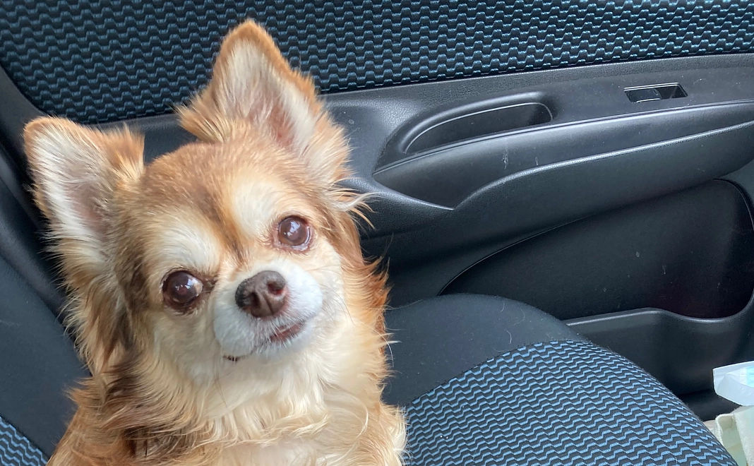 感謝のメール1000円コース