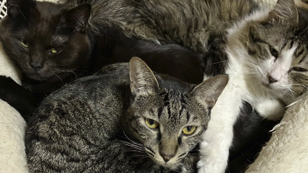 令和7年3月の中間報告！