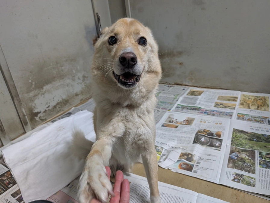 クラウドファンディングへの挑戦を活動の進化のきっかけにしたい！！