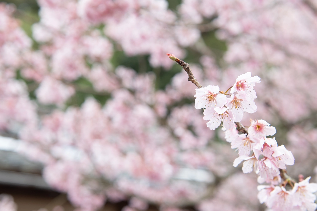 支援率80%を超えました！また地元愛媛経済誌に掲載いただいております。またイベントのお知らせ。