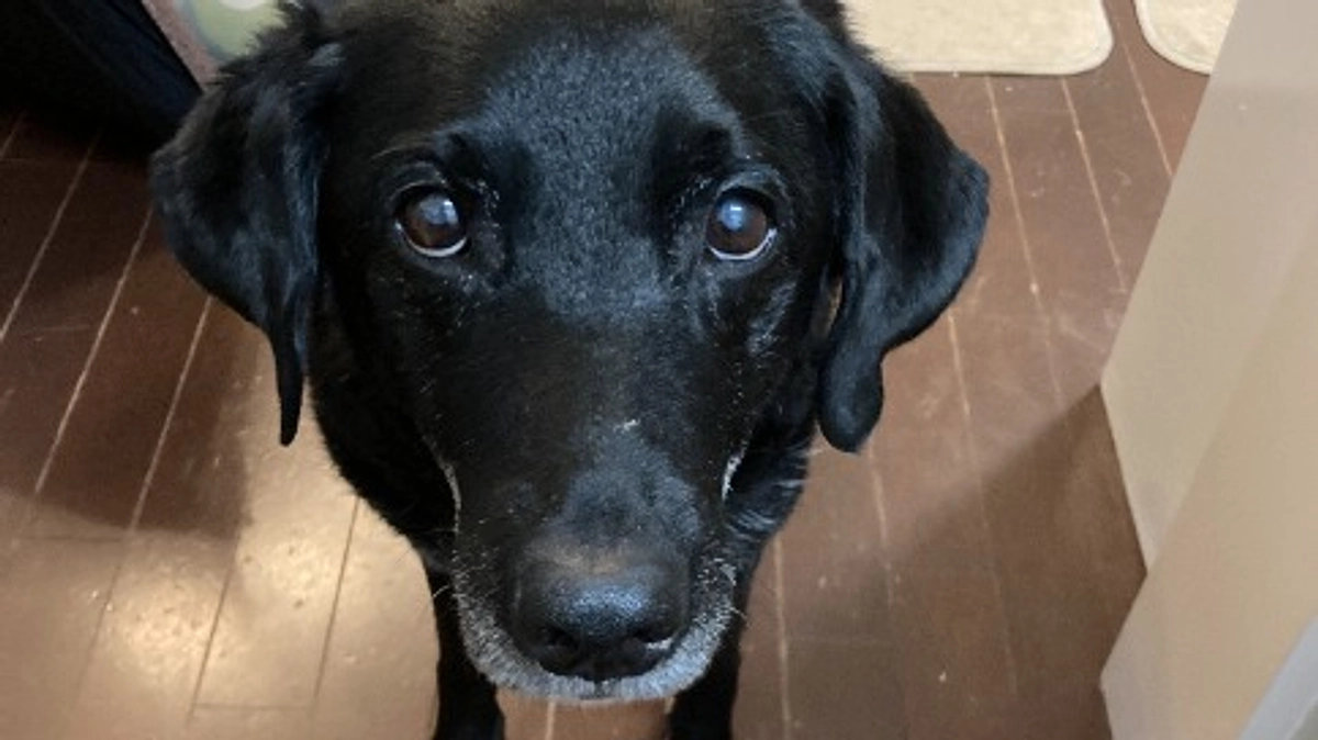 絵本製作がスタートし、企画中です。