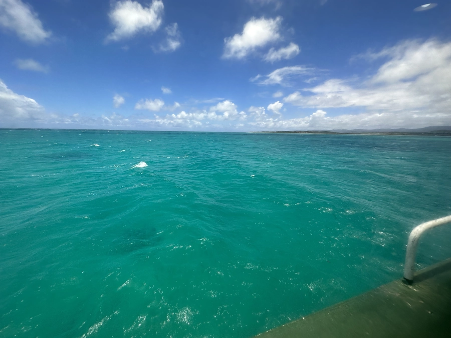 くもーむに絵本プロジェクトとその背景