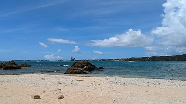 沖縄の国際会議への先住民アーティストの招へい実現に温かいご支援を！ のトップ画像