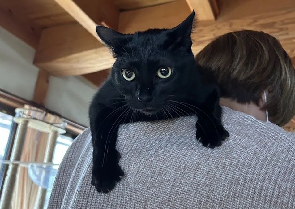 ☆応援に励まされています！！