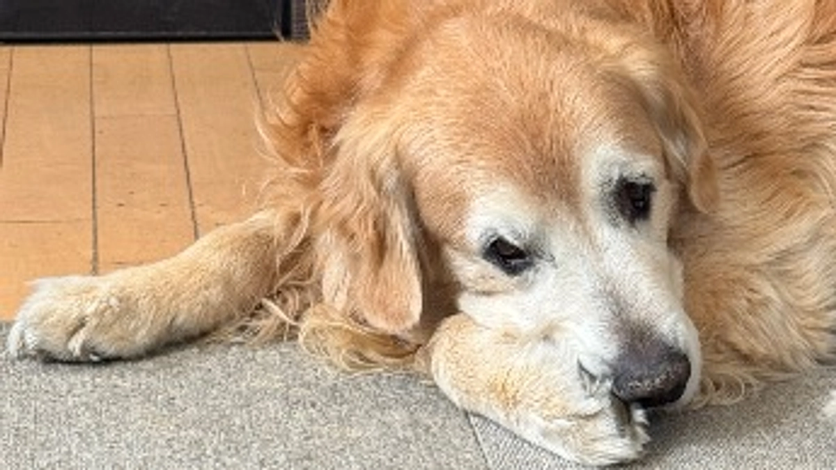 皆様のお陰で達成致しました