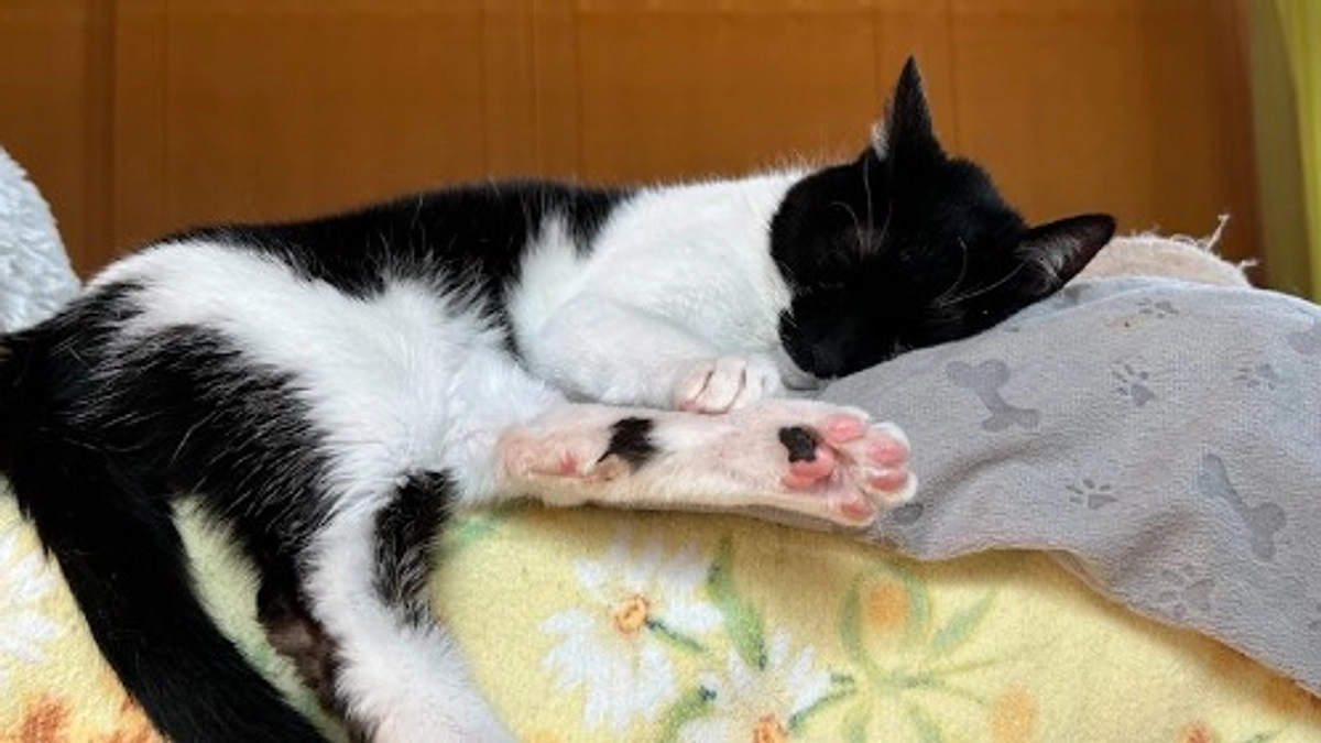 ついに１００名様のご支援が届きました！