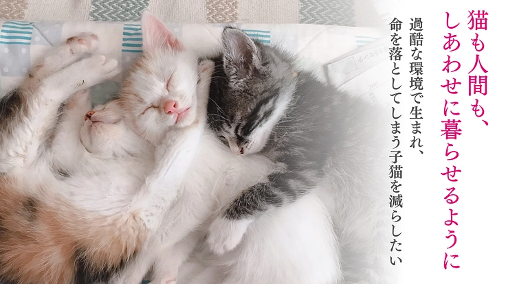 ひとりでは生きられない子猫を救う活動拠点「にゃんズハウス」修繕へ