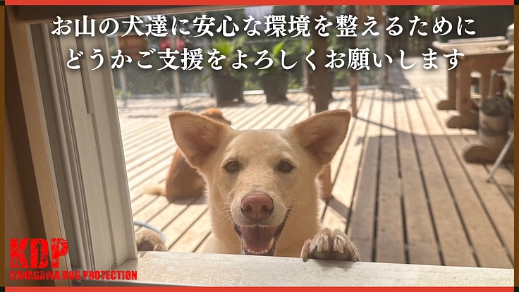 深刻な劣化が進むドッグランを大改修!KDPシェルター修繕【第二弾】 5枚目